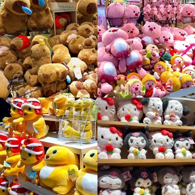 Turning Your Pet Into A Stuffed Animal