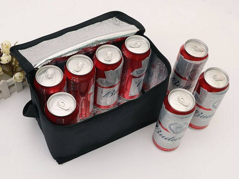 Best Cooler bag