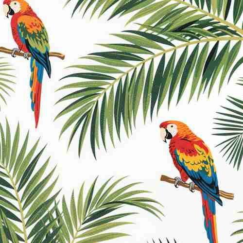 Tropical Print