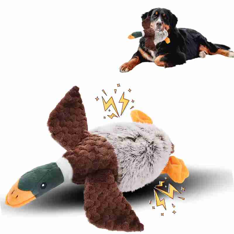 Pet Plush and Soft Accessories