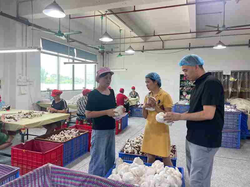 Professional team In-Line Quality Inspection